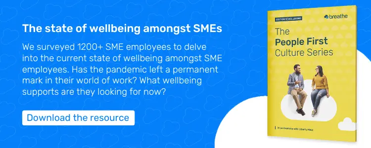 The state of wellbeing amongst SMEs